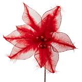 ΚΟΚΚΙΝΟ ΑΛΕΞΑΝΔΡΙΝΟ ΚΛΑΔΙ ΜΕ ΠΟΥΠΟΥΛΑ Φ28Χ40ΕΚ