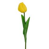 ΚΙΤΡΙΝΟ ΚΛΑΔΙ ΤΟΥΛΙΠΑ 33ΕΚ