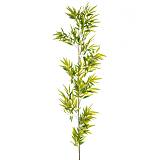 ΠΡΑΣΙΝΟ ΚΛΑΔΙ BAMBOO ΓΙΓΑΣ 2Μ