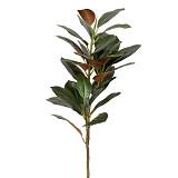 ΠΡΑΣΙΝΟ ΚΛΑΔΙ ΦΙΚΟΣ ΓΙΓΑΣ 95ΕΚ