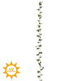 ΚΙΣΣΟΣ ΔΙΧΡΩΜΟΣ ΓΙΡΛΑΝΤΑ 232ΕΚ ΜΕ UV KAI FIRE PROTECTION (ΒΡΑΔΥΚΑΥΣΤΟ)