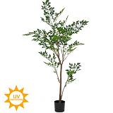 ΝΑΝΤΙΝΑ ΦΥΤΟ 200ΕΚ ΜΕ UV KAI FIRE PROTECTION (ΒΡΑΔΥΚΑΥΣΤΟ)