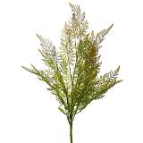 ΦΤΕΡΗ ΡΙΖΑ 72ΕΚ