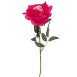 ΤΡΙΑΝΤΑΦΥΛΛΟ ΡΟΖ ΒΕΛΟΥΔΟ 76ΕΚ Χ1