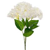 ΜΠΟΥΚΕΤΟ ΟΡΤΑΝΣΙΑ ΛΕΥΚΗ 47ΕΚ Χ5 REAL TOUCH