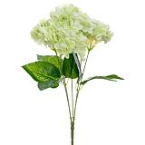 ΜΠΟΥΚΕΤΟ ΟΡΤΑΝΣΙΑ ΠΡΑΣΙΝΗ 47ΕΚ Χ5 REAL TOUCH