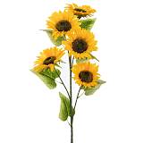 ΚΛΑΔΙ ΗΛΙΟΣ 102ΕΚ Χ5