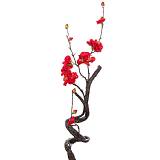 ΑΜΥΓΔΑΛΙΑ ΚΟΚΚΙΝΗ 40ΕΚ