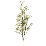 ΚΛΑΔΙ ΛΕΥΚΟ ΨΙΛΟΛΟΥΔΟ 67ΕΚ