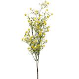 ΚΛΑΔΙ ΚΙΤΡΙΝΟ ΨΙΛΟΛΟΥΔΟ 67ΕΚ