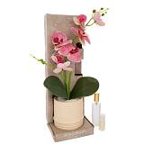 ΡΟΖ ΟΡΧΙΔΕΑ ΣΕ ΚΕΡΑΜΙΚΟ ΚΑΣΠΩ ΜΑΖΙ ΜΕ ΑΡΩΜΑΤΙΚΟ (SUMMER MARSHMALLOWS) 13,5X13,5X41EK