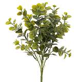 ΡΙΖΑ ΕΥΚΑΛΥΠΤΟΣ 40ΕΚ ΠΡΑΣΙΝΗ