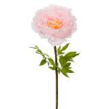 ΓΙΓΑΣ ΚΛΑΔΙ ΜΕ ΣΟΜΟΝ ΠΑΙΩΝΙΑ 48Χ48Χ130ΕΚ