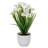 ΑΣΠΡΑ ΛΟΥΛΟΥΔΙΑ ΣΕ ΠΛΑΣΤΙΚΟ ΚΑΣΠΩ 10Χ9Χ30ΕΚ