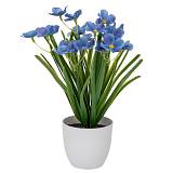 ΜΩΒ ΛΟΥΛΟΥΔΙΑ ΣΕ ΠΛΑΣΤΙΚΟ ΚΑΣΠΩ  Φ10Χ9Χ30ΕΚ