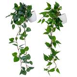 ΠΡΑΣΙΝΑΔΑ ΣΕ ΠΛΑΣΤΙΚΟ ΚΑΣΠΩ ΣΕ 2 ΣΧΕΔΙΑ 20Χ42  7Χ6ΕΚ