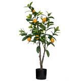 ΛΕΜΟΝΙΑ 100ΕΚ ΣΕ ΓΛΑΣΤΡΑ Φ15Χ13ΕΚ