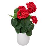 ΚΟΚΚΙΝΟ ΜΠΟΥΚΕΤΟ ΓΕΡΑΝΙ 38ΕΚ ΣΕ ΚΑΣΠΩ ΜΕ ΕΦΕ ΤΣΙΜΕΝΤΟΥ Φ11Χ12,5ΕΚ