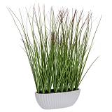 ΓΡΑΣΙΔΙ 50ΕΚ ΣΕ ΚΕΡΑΜΙΚΟ ΛΕΥΚΟ ΚΑΣΠΩ Φ22Χ10ΕΚ