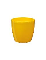 Κασπώ ROTO BRILL Φ16 YELLOW/KITPINO