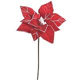 ΚΛΑΔΙ/ΛΟΥΛΟΥΔΙ ΚΟΚΚΙΝΟ Φ28X60