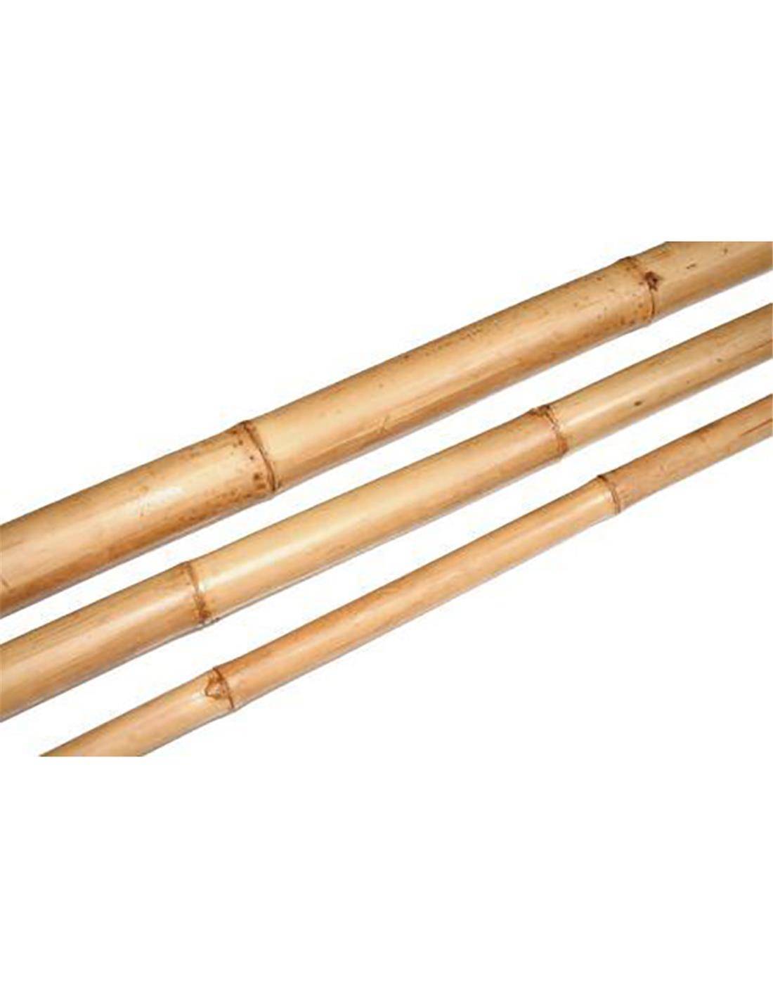 Stem Bamboo Laq. D6-8 L210.0 NATURAL