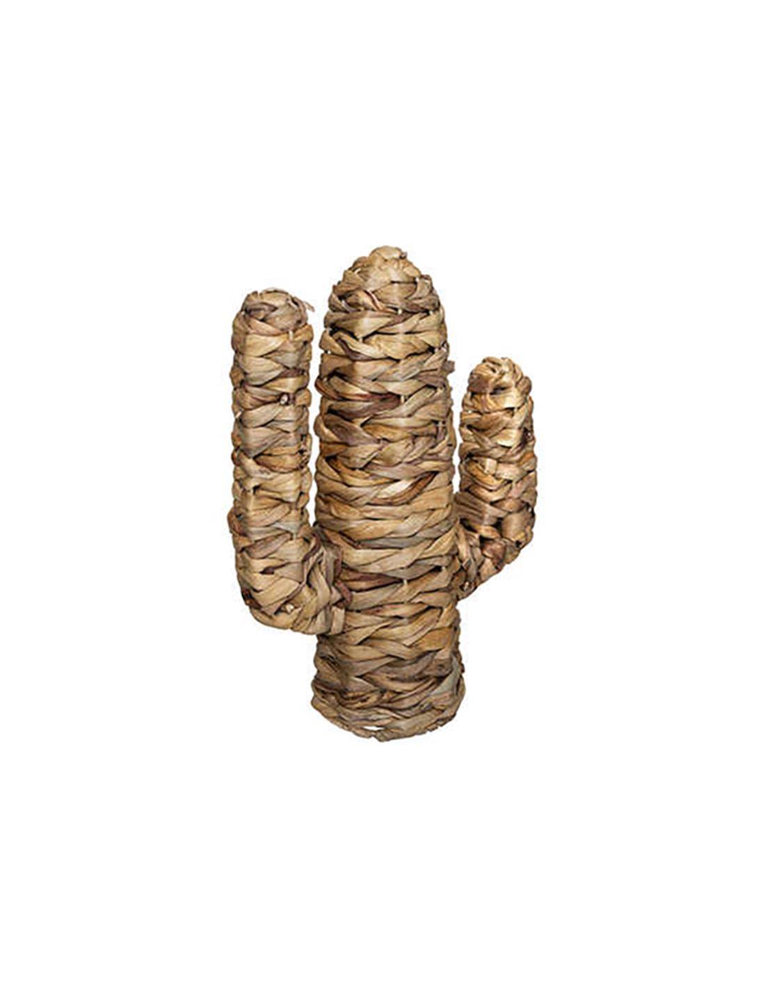 Κάκτος διακ.υδρουάκινθου 26Χ11,5Χ35