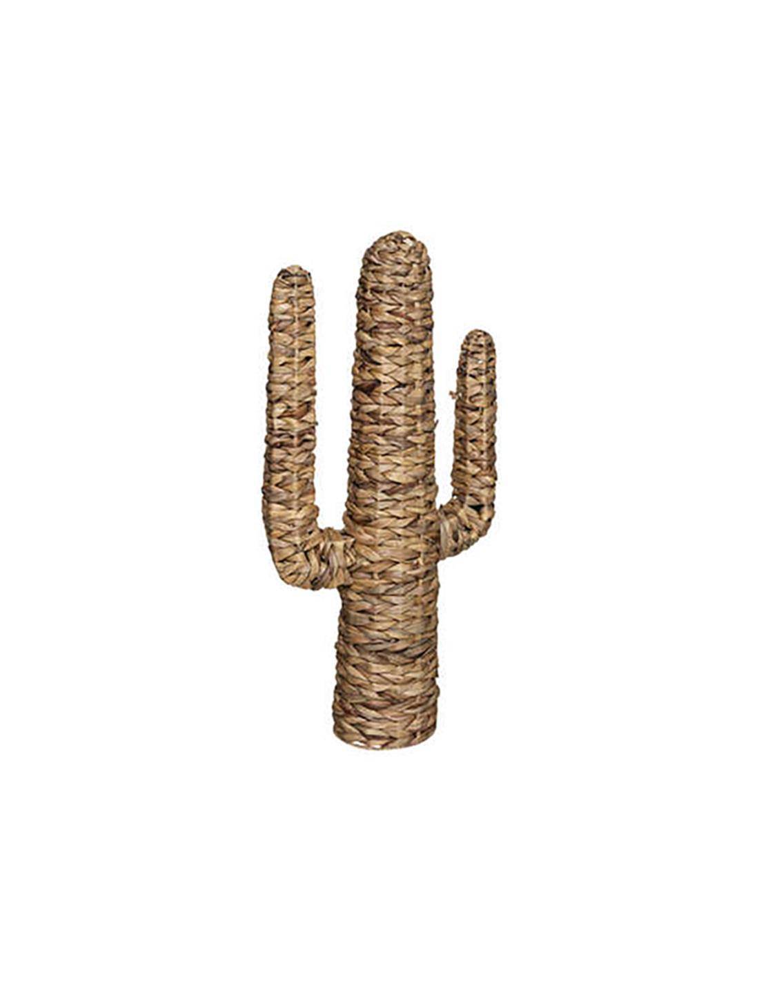 Κάκτος διακ.υδρουάκινθος 38,5Χ75