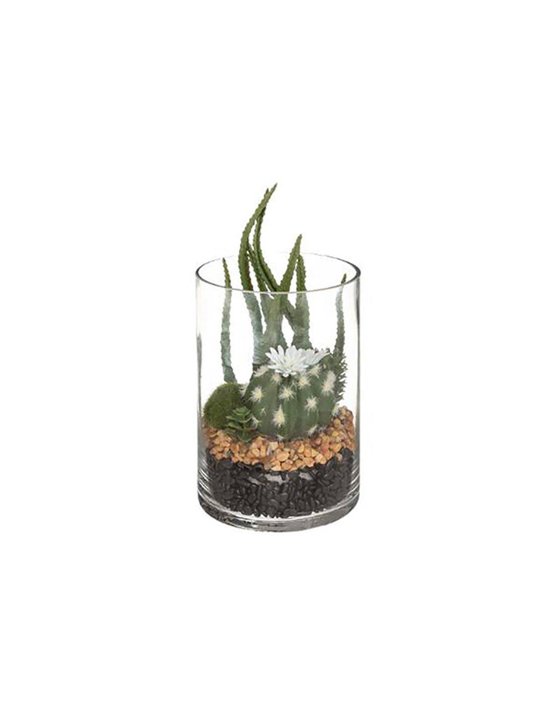 Κάκτος σε γυαλ.terrarium 2σχ. 19.5εκ.