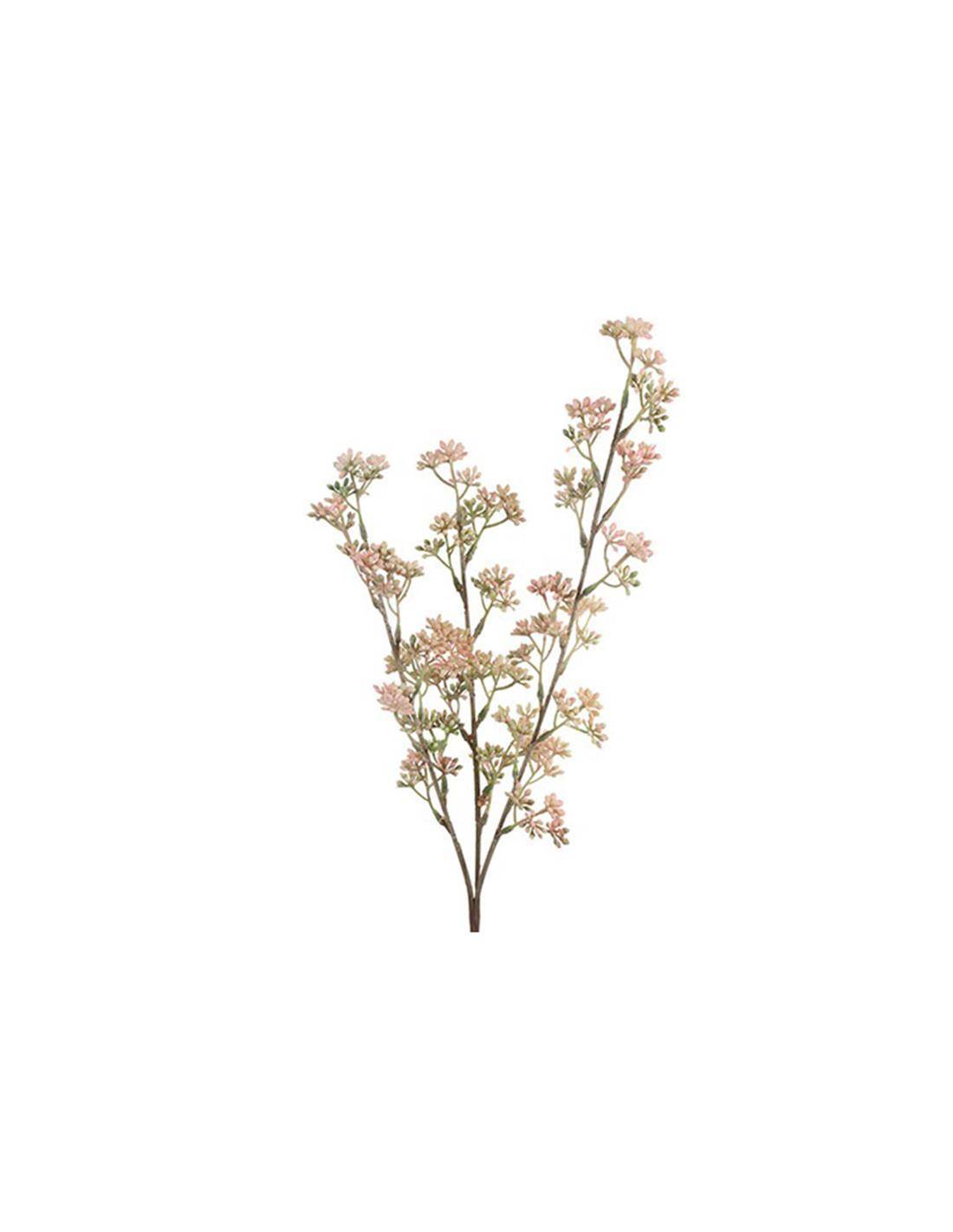 Prunus κλαδί ροζ