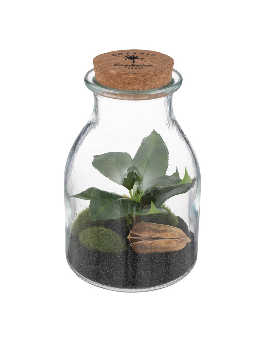 Βάζο terrarium με φυτό 12Χ19,5