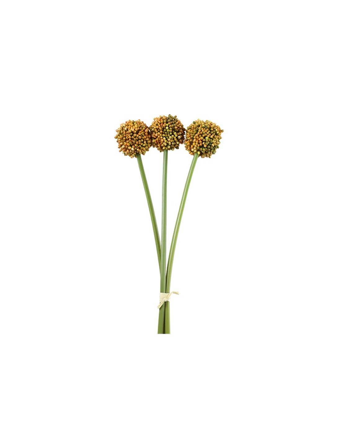 Allium πορτοκαλί  Χ3 55εκ.