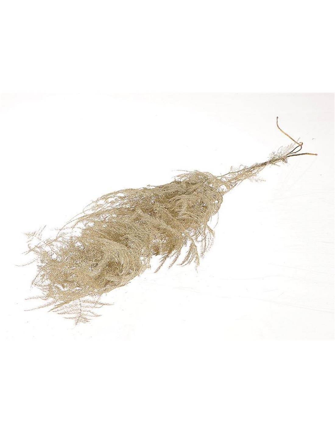 Asparagus φυσικό Η90cm