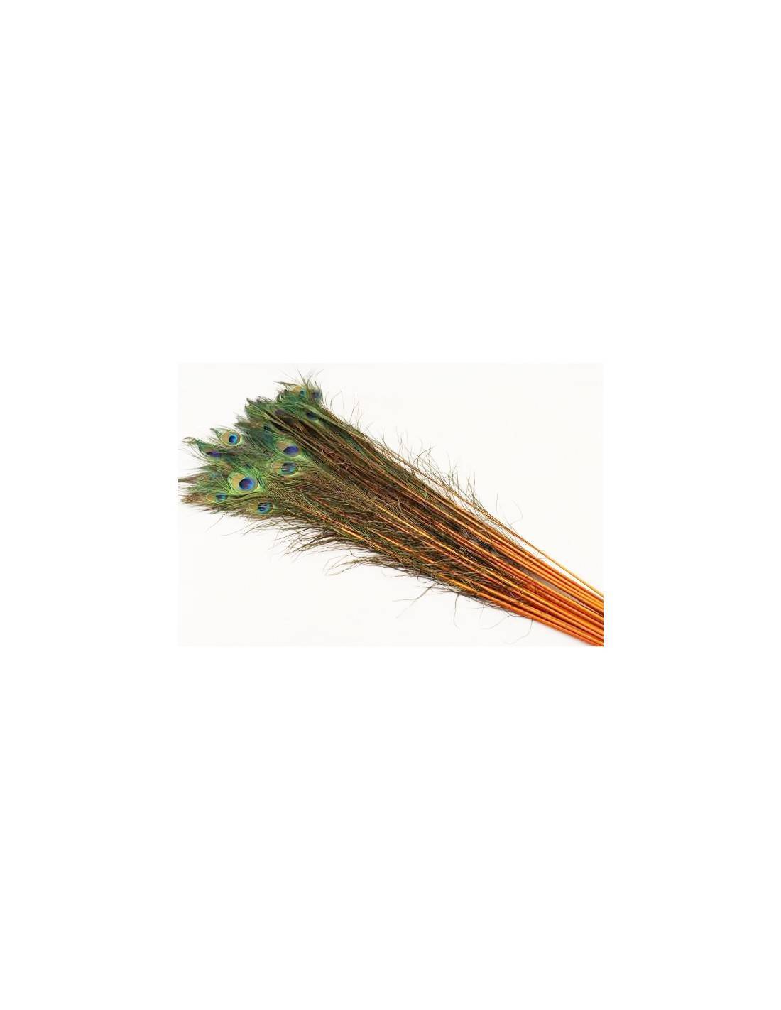 Φτερό παγωνιού πορτοκαλί 90-100εκ.