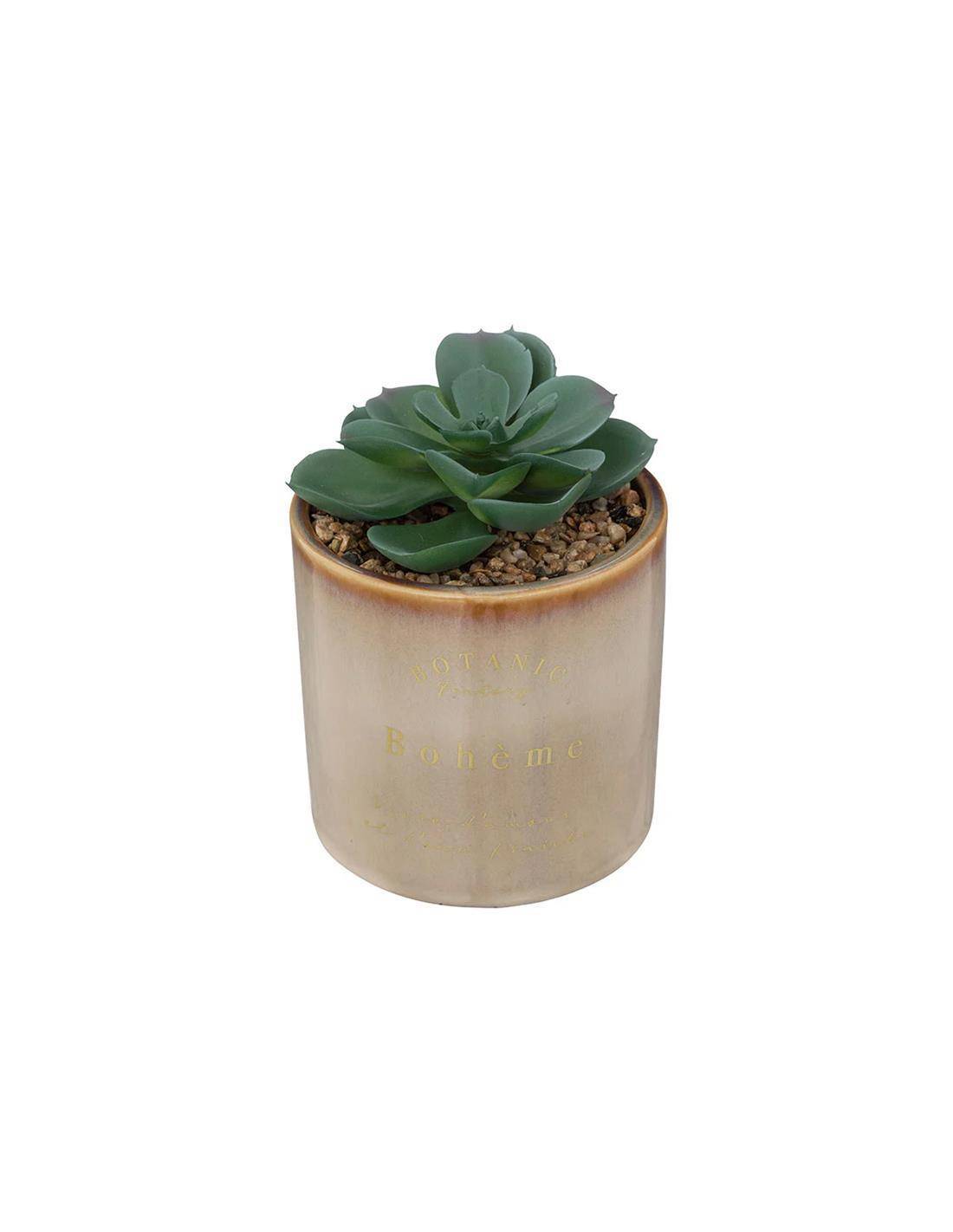 Κάκτος σε κασπώ κεραμικό Φ9,8Η14cm