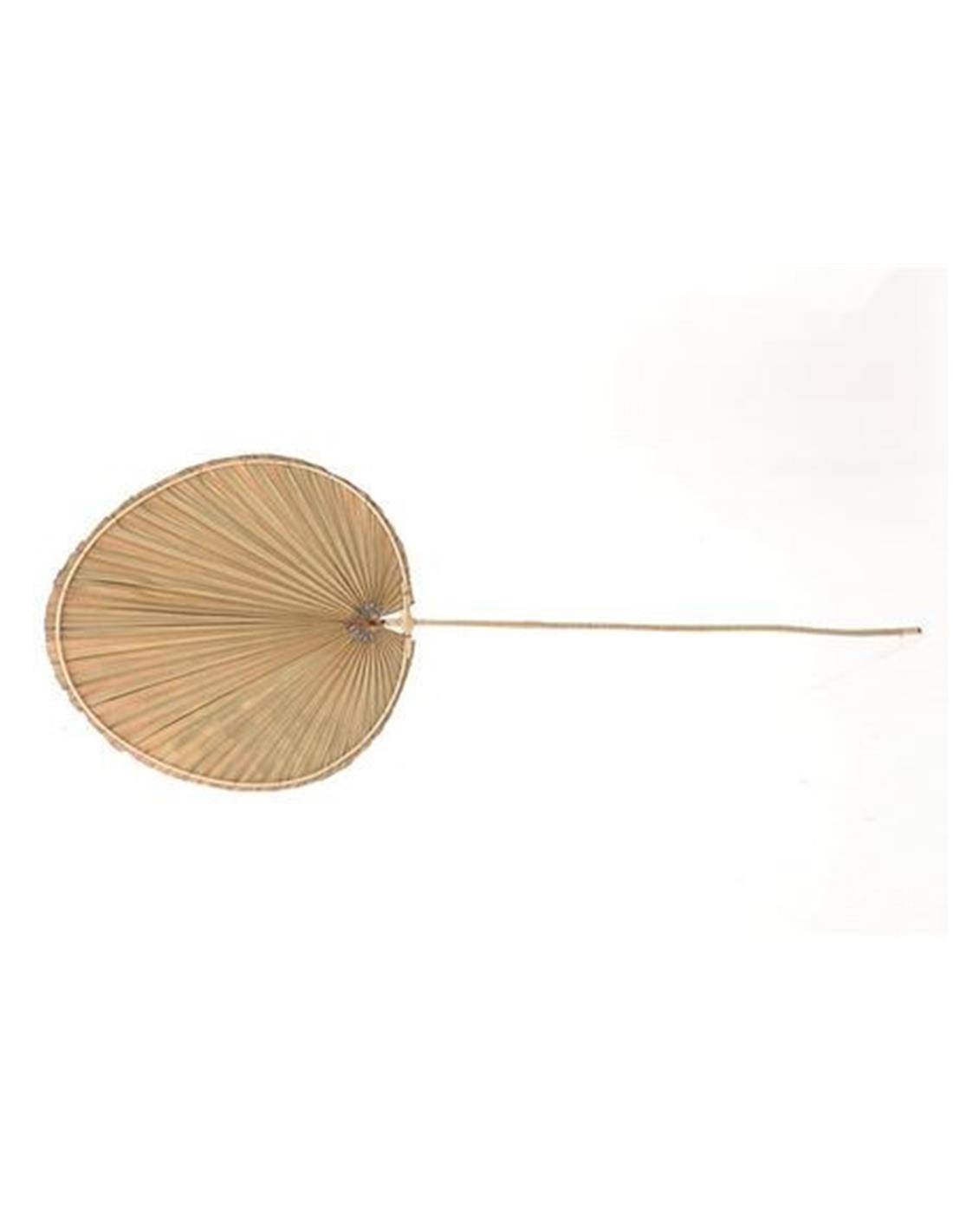 κλαδί φοίνικα 36Χ105 cm