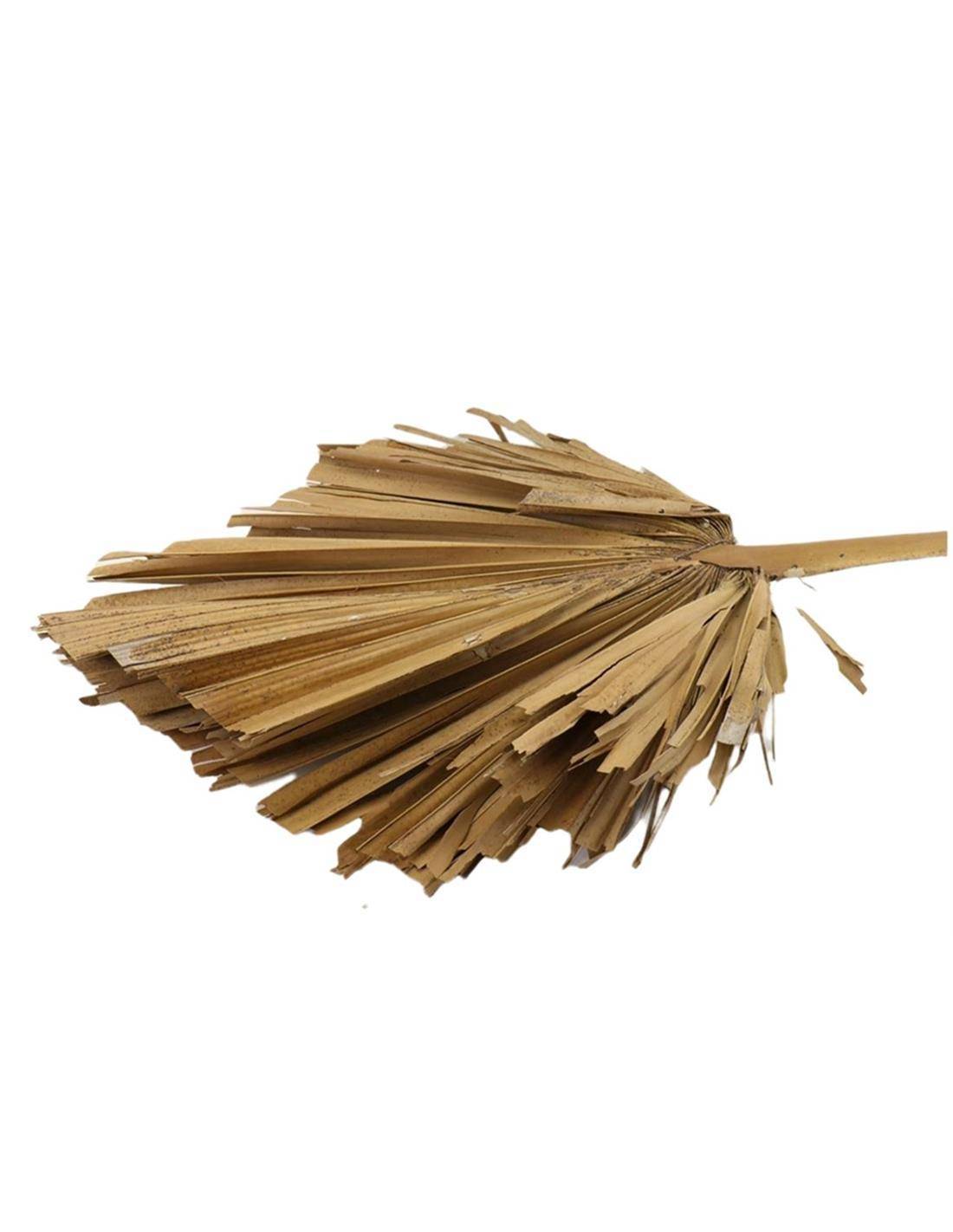 Κλαδί φοίνικα φυσικό 45x110cm