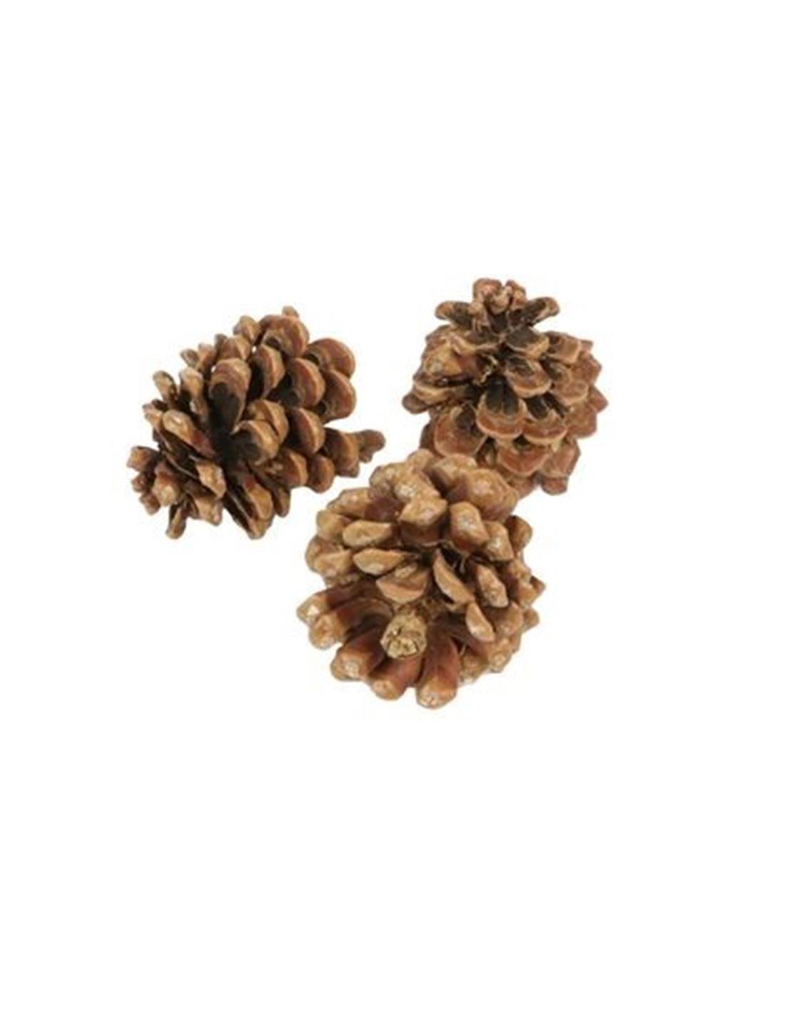 Κουκουνάρια φυσικό/3τμχ 9/12cm