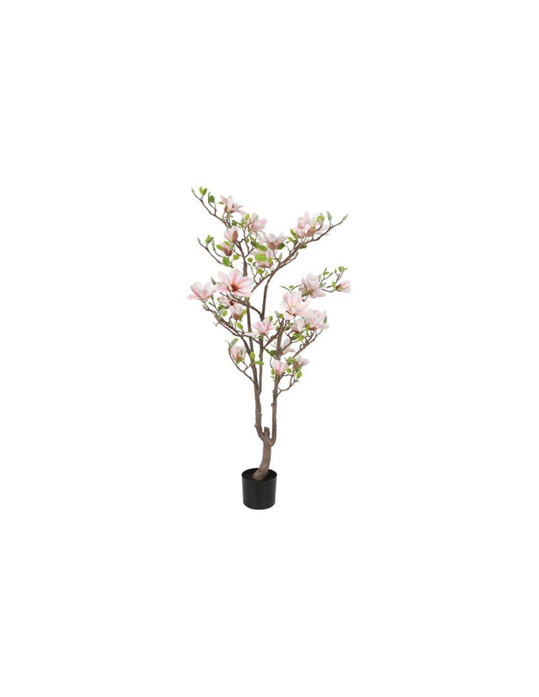 Μανώλια λευκή-ροζ σε κασπώ 80xΗ150cm