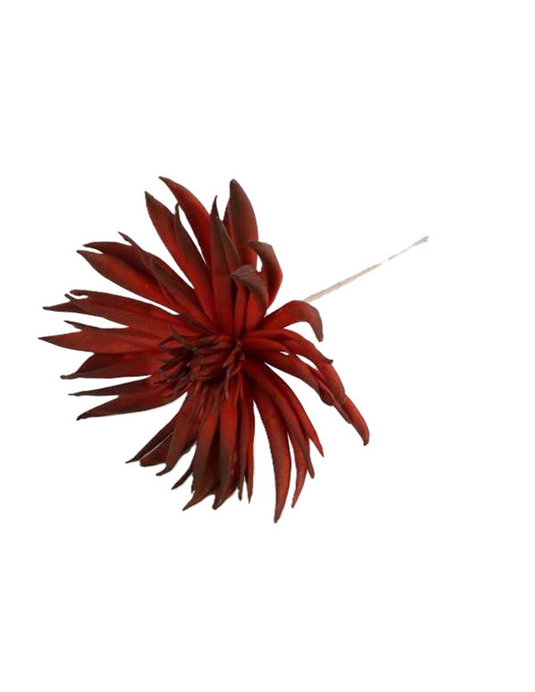 Monorda κλαδι κοκκ. 73εκ.