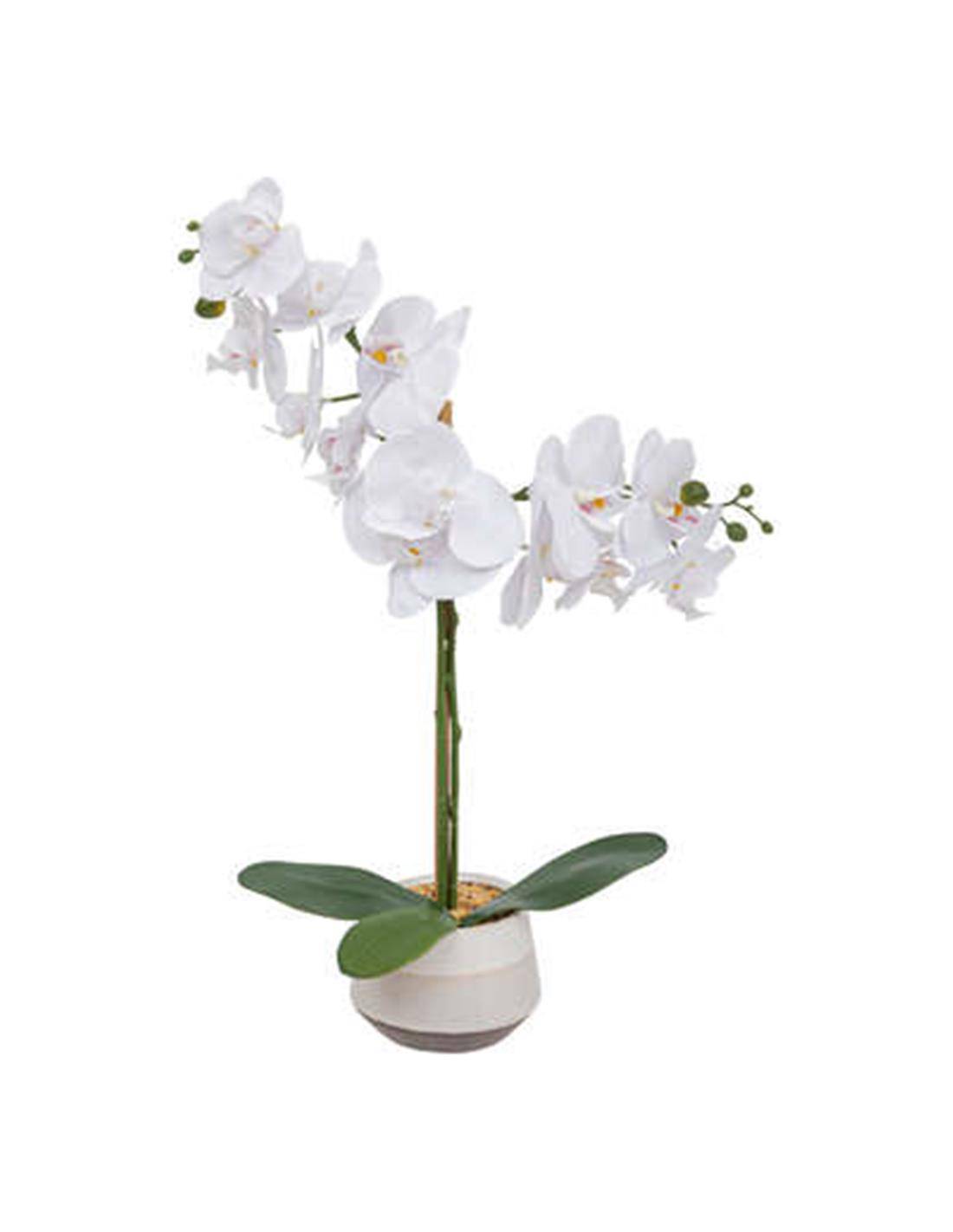 Ορχιδέα λευκή σε κασπώ Η52cm