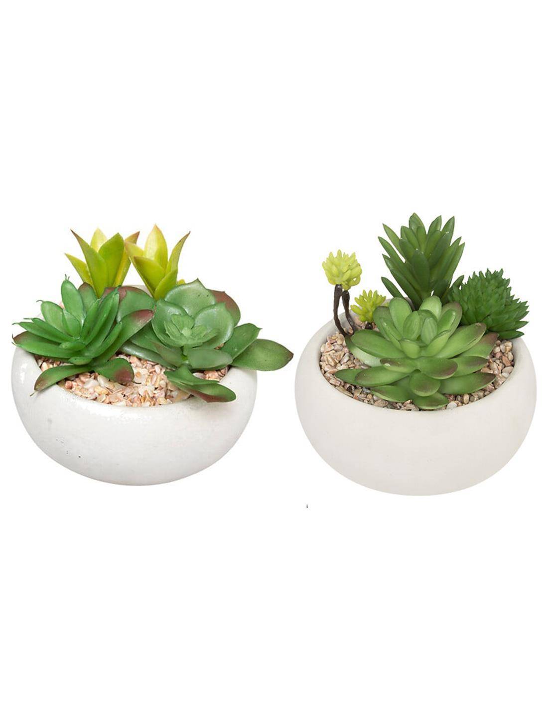 Παχύφυτα σε λευκό κεραμ.κασπώ 10cm