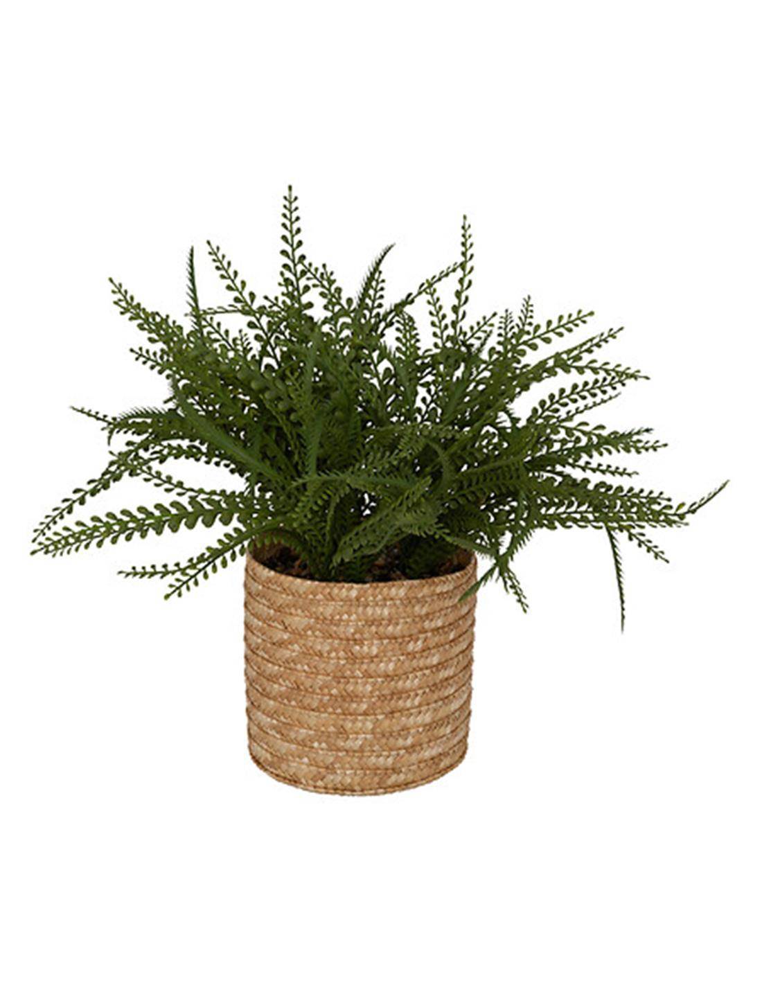 Πρασινάδα σε κασπώ ψάθινο 30x45cm