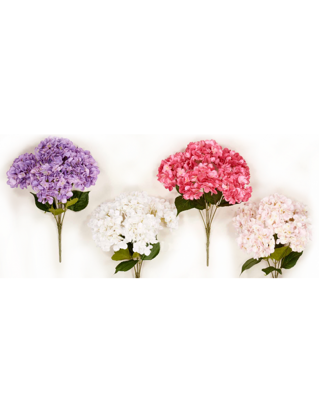 Ρίζα ορτανσία 49cm