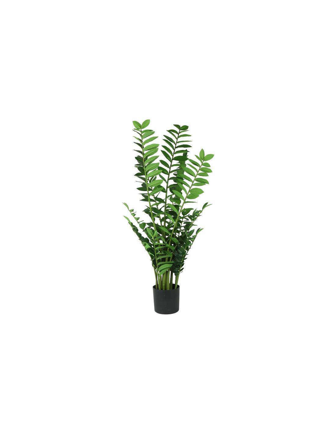 Ζάμια σε κασπώ 130εκ.