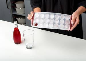 Παγοθήκη πλαστική Terrestrial 30cm