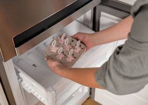 Φόρμα σιλικόνης για παγωτό Misty 14.5cm