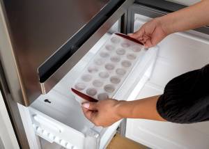 Παγοθήκη πλαστική Terrestrial 30cm