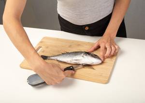Εργαλείο απολέπισης ψαριών Acer με ανοξείδωτη λάμα και αποθηκευτικό χώρο 20cm