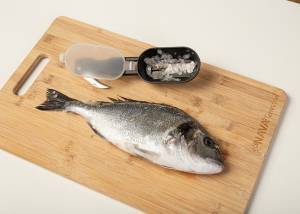 Εργαλείο απολέπισης ψαριών Acer με ανοξείδωτη λάμα και αποθηκευτικό χώρο 20cm